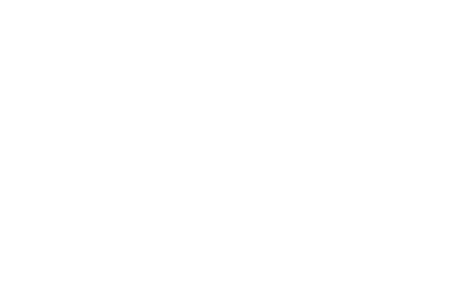 Lines Conference